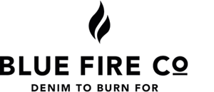 logo beitrag blue fire